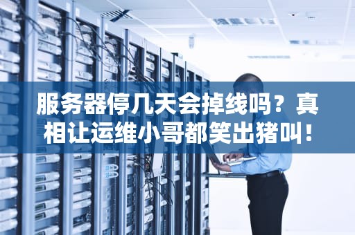 服务器停几天会掉线吗？真相让运维小哥都笑出猪叫！