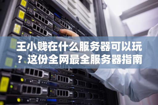王小贱在什么服务器可以玩？这份全网最全服务器指南笑到劈叉！