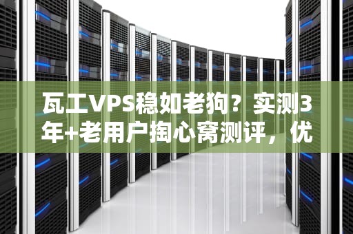 瓦工VPS稳如老狗？实测3年+老用户掏心窝测评，优缺点全扒光！