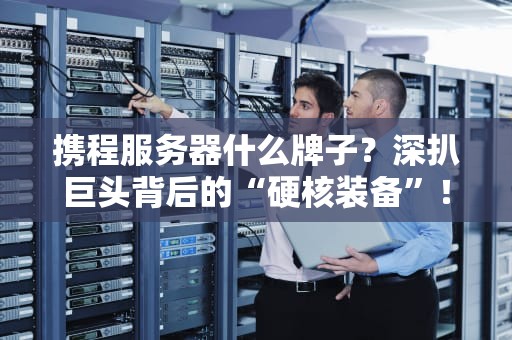 携程服务器什么牌子？深扒巨头背后的“硬核装备”！（附专业测评）