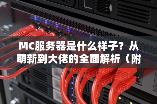 MC服务器是什么样子？从萌新到大佬的全面解析（附超实用测评）