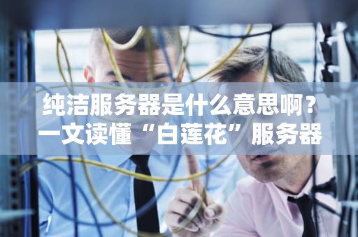 纯洁服务器是什么意思啊？一文读懂“白莲花”服务器的那些事儿！