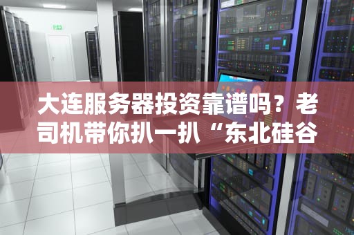 大连服务器投资靠谱吗？老司机带你扒一扒“东北硅谷”的硬核真相！