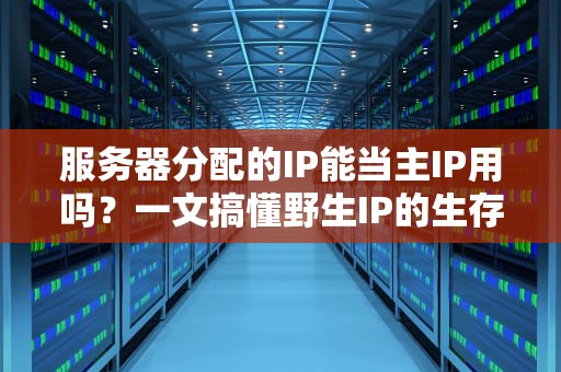 服务器分配的IP能当主IP用吗？一文搞懂野生IP的生存法则！