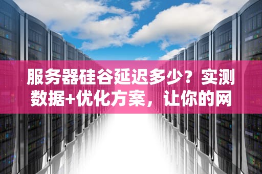 服务器硅谷延迟多少？实测数据+优化方案，让你的网站飞起来！
