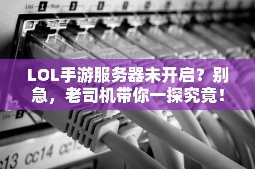 LOL手游服务器未开启？别急，老司机带你一探究竟！