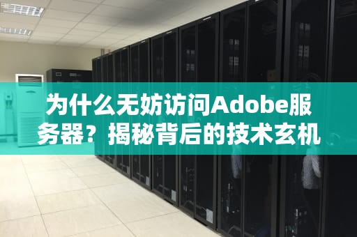 为什么无妨访问Adobe服务器？揭秘背后的技术玄机与幽默日常