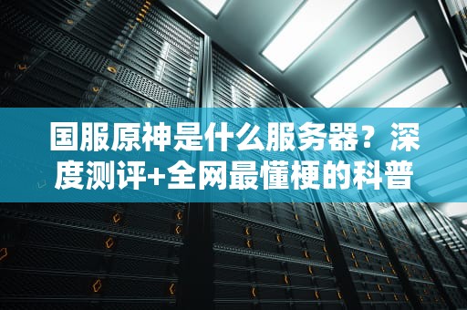 国服原神是什么服务器？深度测评+全网最懂梗的科普指南！