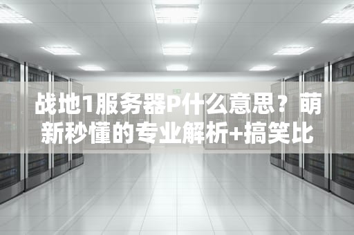 战地1服务器P什么意思？萌新秒懂的专业解析+搞笑比喻！