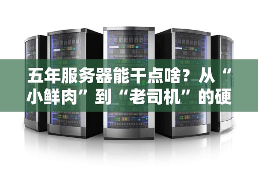 五年服务器能干点啥？从“小鲜肉”到“老司机”的硬核进化史