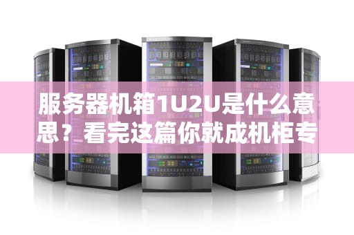 服务器机箱1U2U是什么意思？看完这篇你就成机柜专家了！