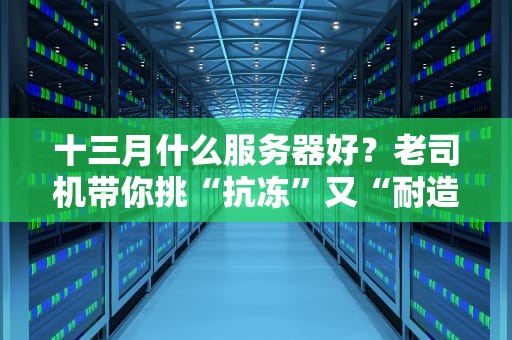 十三月什么服务器好？老司机带你挑“抗冻”又“耐造”的服务器！