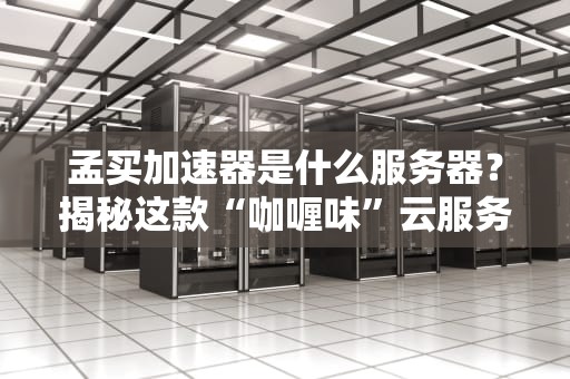 孟买加速器是什么服务器？揭秘这款“咖喱味”云服务的真实性能！