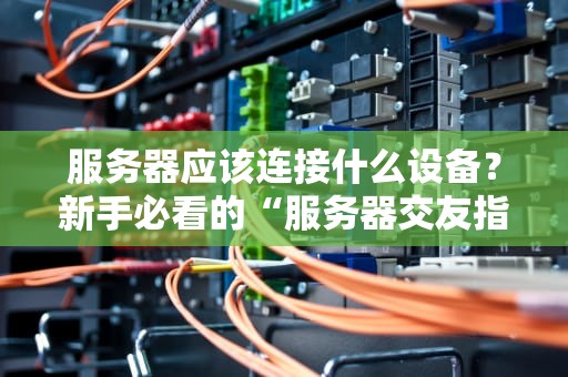 服务器应该连接什么设备？新手必看的“服务器交友指南”