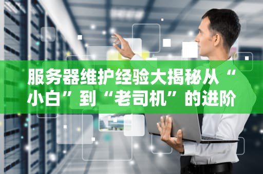 服务器维护经验大揭秘从“小白”到“老司机”的进阶指南