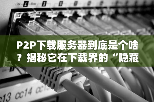P2P下载服务器到底是个啥？揭秘它在下载界的“隐藏大佬”身份！