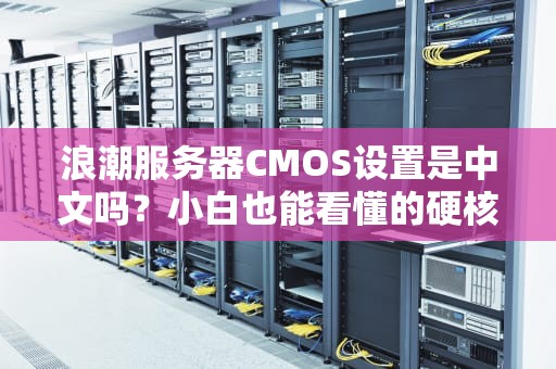 浪潮服务器CMOS设置是中文吗？小白也能看懂的硬核科普！