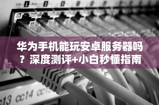 个人搭服务器有什么用？从玩具到神器的进阶指南