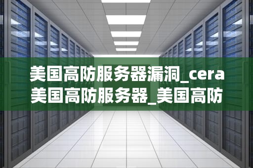 美国高防服务器漏洞_cera美国高防服务器_美国高防服务器漏洞：挑战与应对