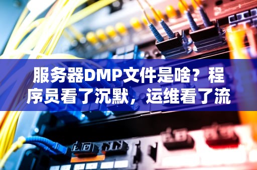 服务器DMP文件是啥？程序员看了沉默，运维看了流泪的“黑匣子”大揭秘！