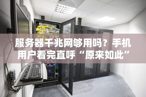 服务器千兆网够用吗？手机用户看完直呼“原来如此”！