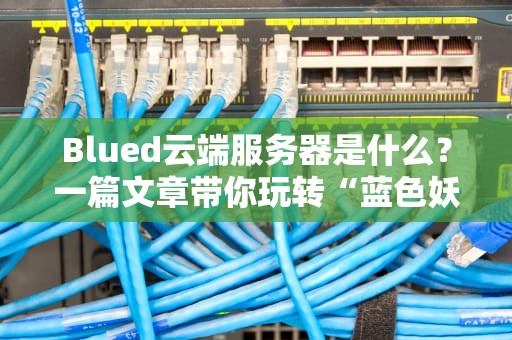 Blued云端服务器是什么？一篇文章带你玩转“蓝色妖姬”的云上世界！