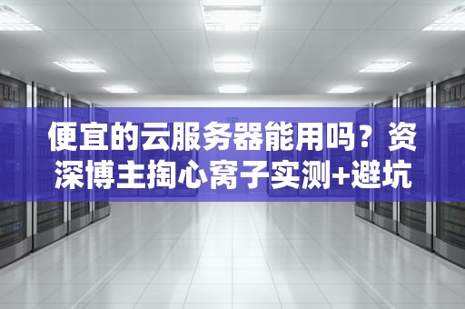 便宜的云服务器能用吗？资深博主掏心窝子实测+避坑指南！