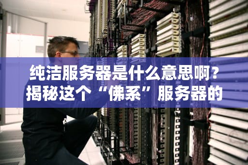 纯洁服务器是什么意思啊？揭秘这个“佛系”服务器的神奇之处！