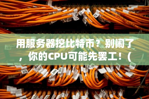 用服务器挖比特币？别闹了，你的CPU可能先罢工！(附专业避坑指南)