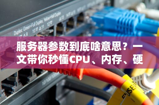 服务器参数到底啥意思？一文带你秒懂CPU、内存、硬盘的黑话！