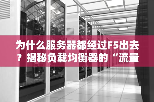为什么服务器都经过F5出去？揭秘负载均衡器的“流量指挥家”身份！