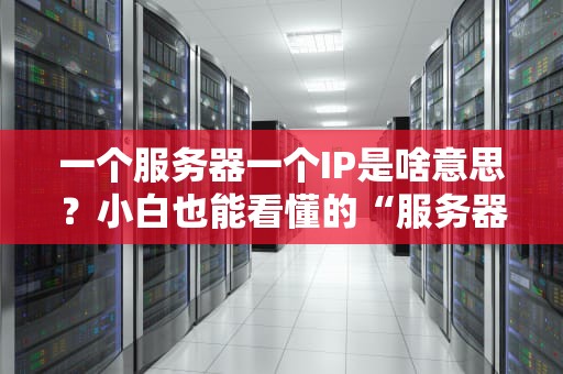 一个服务器一个IP是啥意思？小白也能看懂的“服务器身份证”科普！