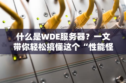 什么是WDE服务器？一文带你轻松搞懂这个“性能怪兽”！