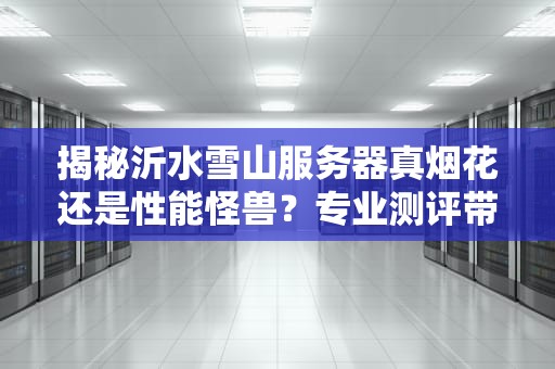 揭秘沂水雪山服务器真烟花还是性能怪兽？专业测评带你一探究竟！