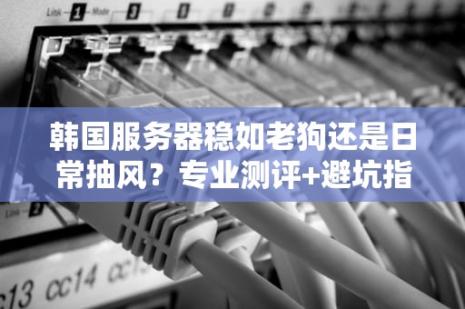 韩国服务器稳如老狗还是日常抽风？专业测评+避坑指南来啦！