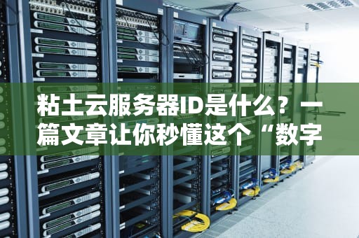 粘土云服务器ID是什么？一篇文章让你秒懂这个“数字身份证”的奥秘！