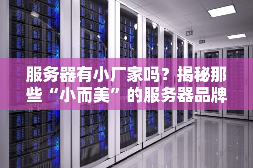 服务器有小厂家吗？揭秘那些“小而美”的服务器品牌，靠谱还是坑？