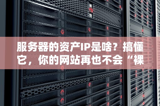服务器的资产IP是啥？搞懂它，你的网站再也不会“裸奔”！