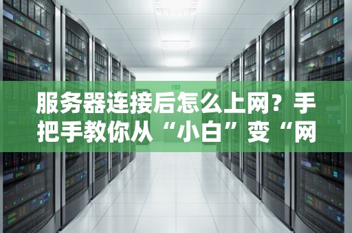 服务器连接后怎么上网？手把手教你从“小白”变“网管”