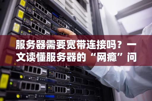 服务器需要宽带连接吗？一文读懂服务器的“网瘾”问题