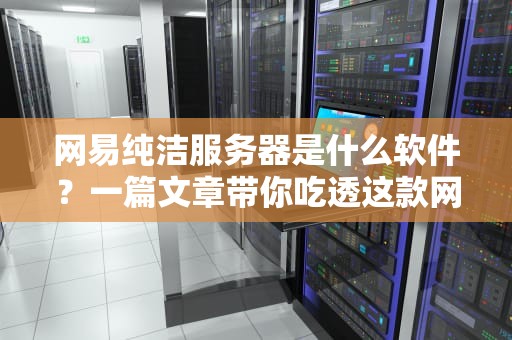 网易纯洁服务器是什么软件？一篇文章带你吃透这款网络净化器！