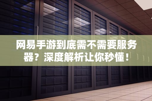 网易手游到底需不需要服务器？深度解析让你秒懂！