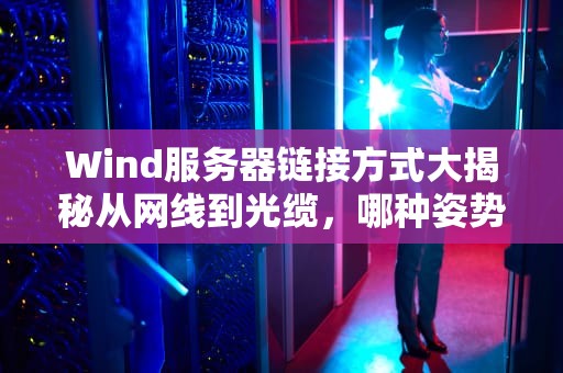 Wind服务器链接方式大揭秘从网线到光缆，哪种姿势最风骚？