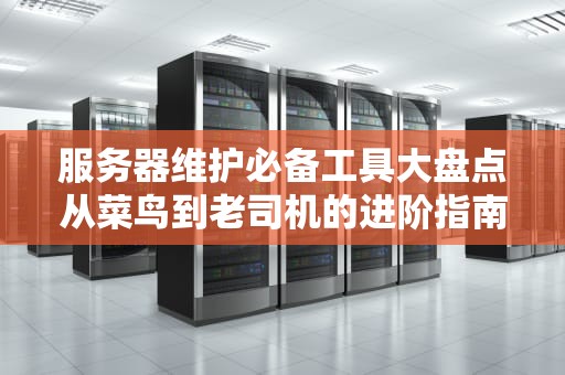 服务器维护必备工具大盘点从菜鸟到老司机的进阶指南
