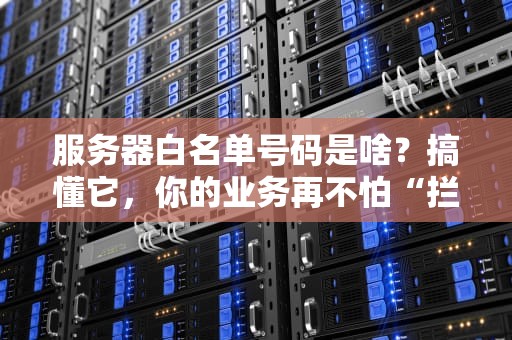 服务器白名单号码是啥？搞懂它，你的业务再不怕“拦路虎”！
