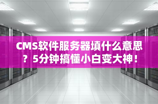 CMS软件服务器填什么意思？5分钟搞懂小白变大神！