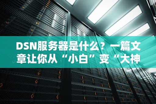 DSN服务器是什么？一篇文章让你从“小白”变“大神”！