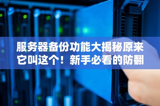 服务器备份功能大揭秘原来它叫这个！新手必看的防翻车指南