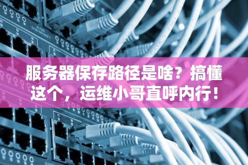 服务器保存路径是啥？搞懂这个，运维小哥直呼内行！