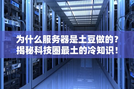为什么服务器是土豆做的？揭秘科技圈最土的冷知识！